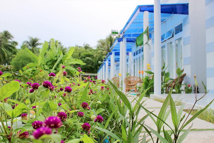 Nostress Guest House มุยเน่ ภายนอก รูปภาพ
