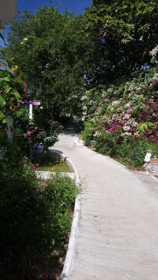 Nostress Guest House มุยเน่ ภายนอก รูปภาพ